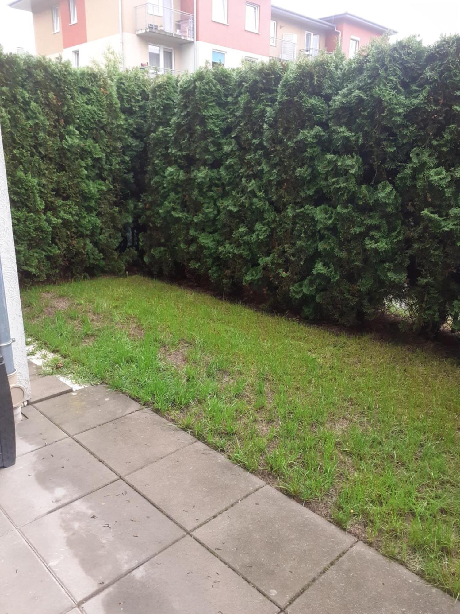 Sloneczny Apartament Z Malym Ogrodkiem Wejherowo Exterior photo